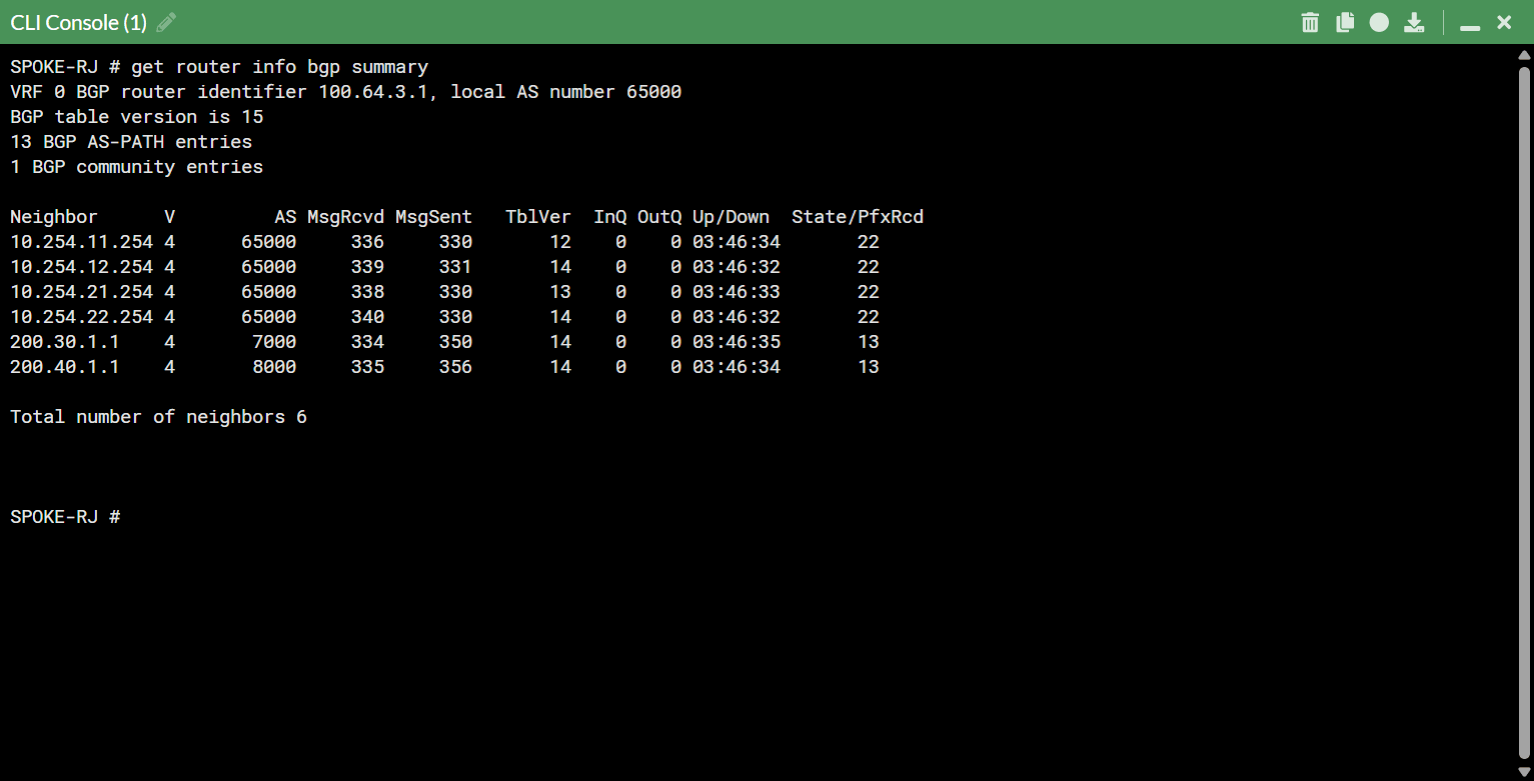 Overlay BGP summary