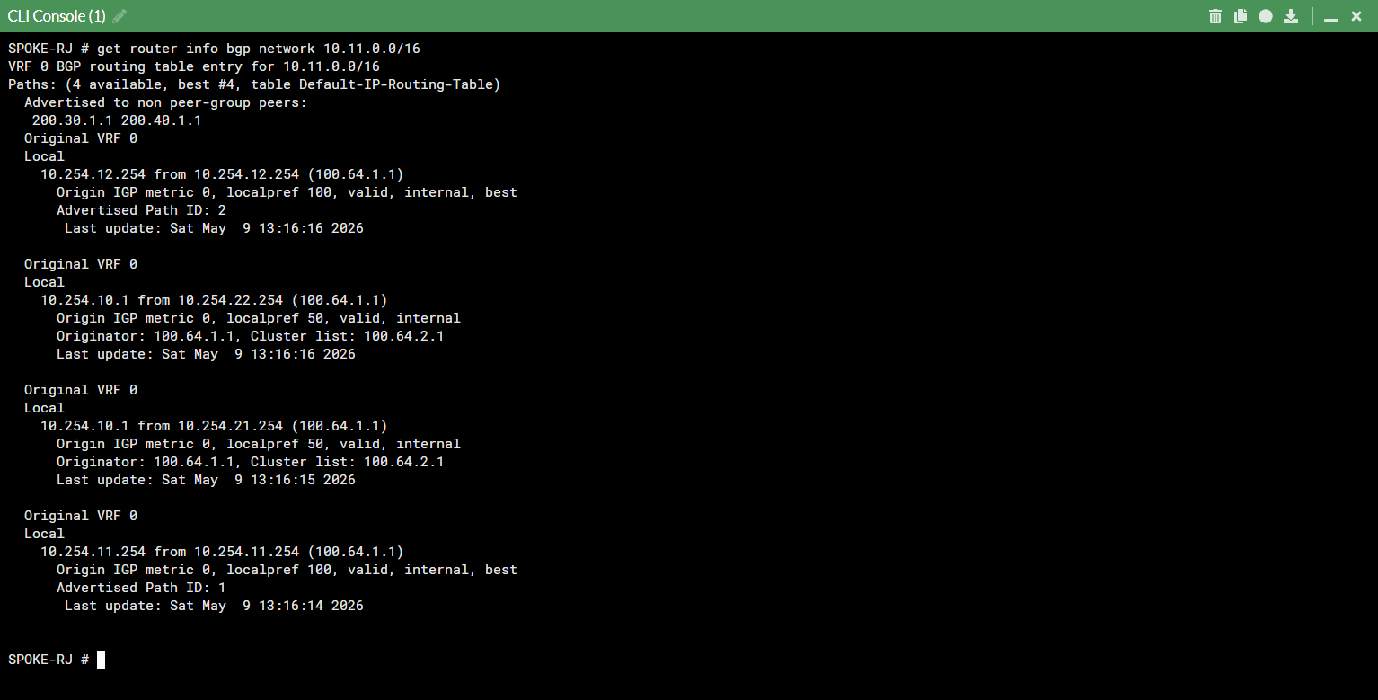 BGP community and route-tag validation